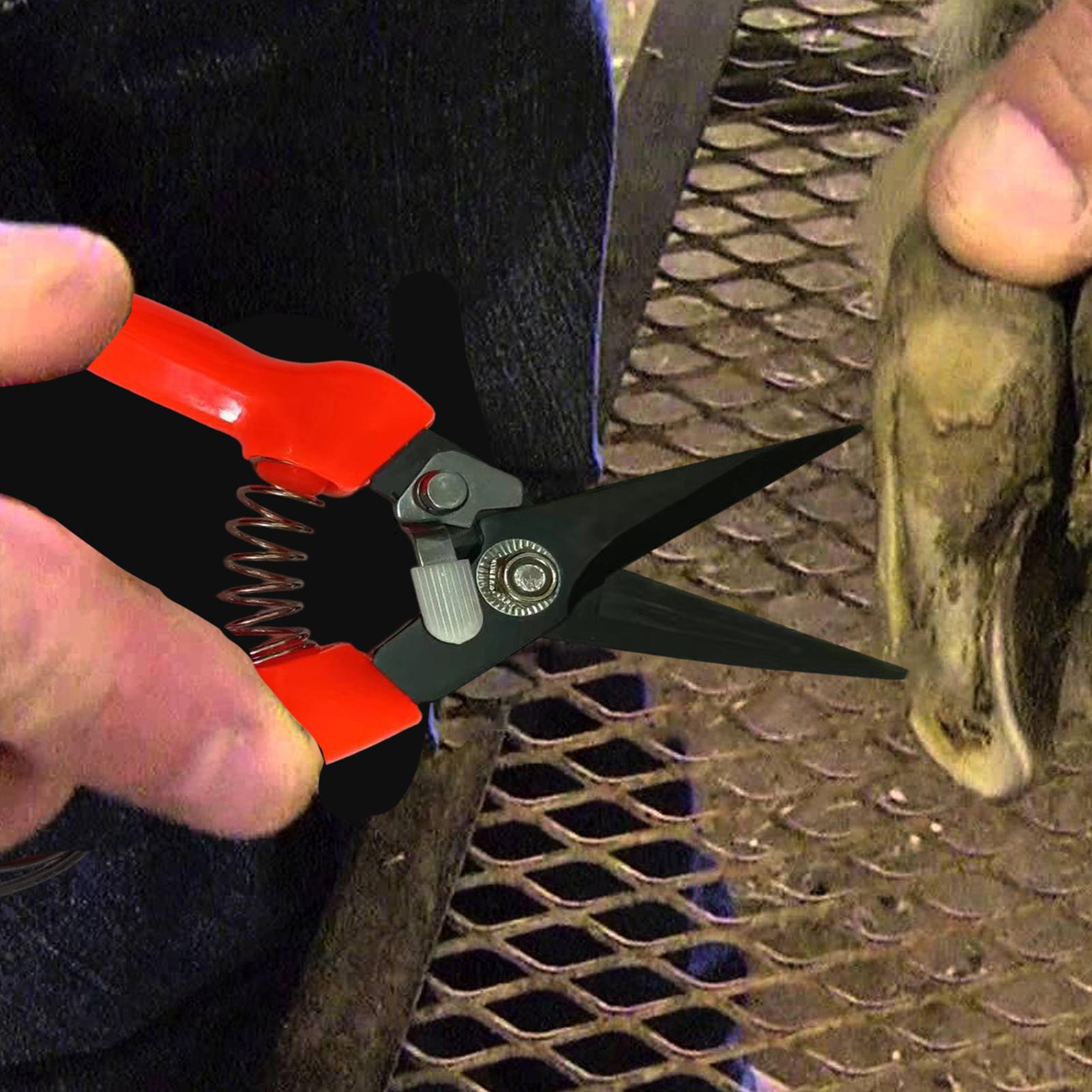 Forbici ergonomiche per zoccol - Woodworking Horse recensione e prezzo